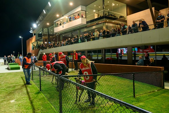 Race night at The Q.