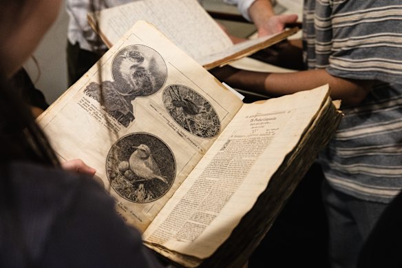 Sharland created field notes from the dog-eared to the empirical.