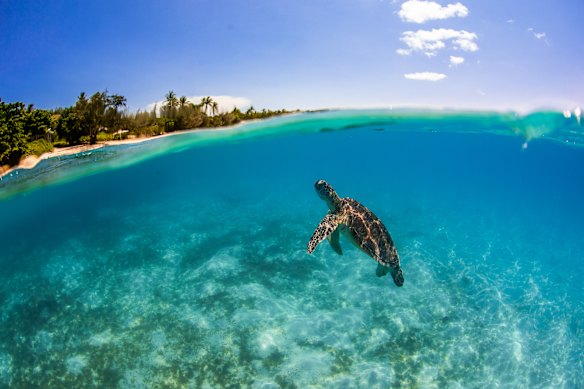 Meeting the locals of the lagoon.