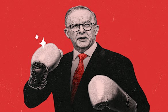 Anthony Albanese knocked out many contenders on Saturday, but his biggest bout is yet to come.