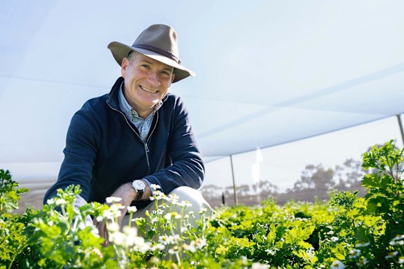 Professor Christopher Sweeney, from Adelaide University, with feverfew flowers.