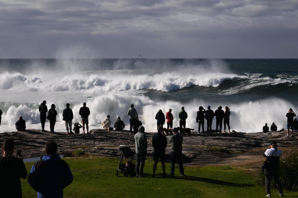 Crowds gathered at Trenerry Reserve on Monday to watch the big surf at Coogee.