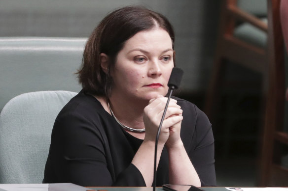 Labor MP Lisa Chesters in 2020.