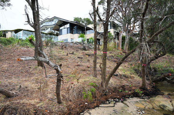 Lane Cove Mayor Scott Bennison wants to “throw the book” at the tree vandals.