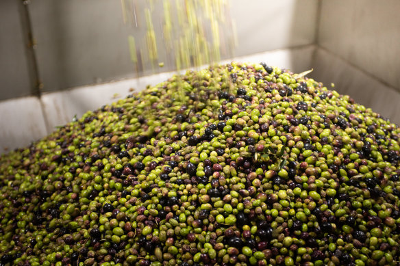 Cobram Estate is the country’s biggest olive oil producer.