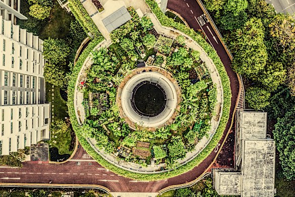 A garden on a rooftop – not unusual in Singapore, where plants have long been integral to the city’s design.