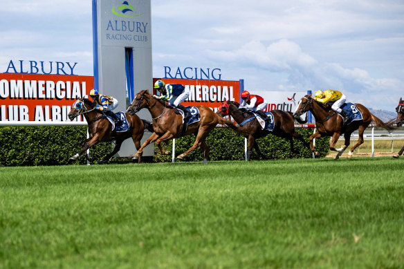 There are seven races on the card at Albury on Monday.
