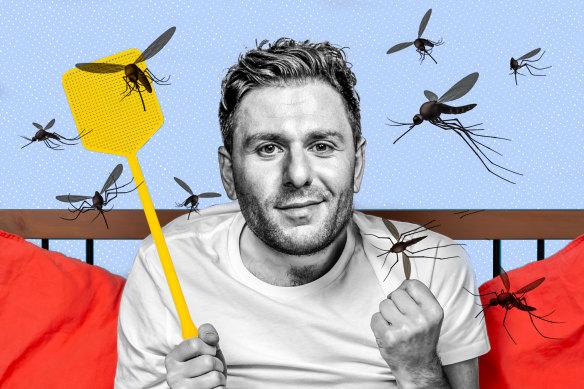 Merry Christmas to everyone except the mosquito terrorising me each night.
