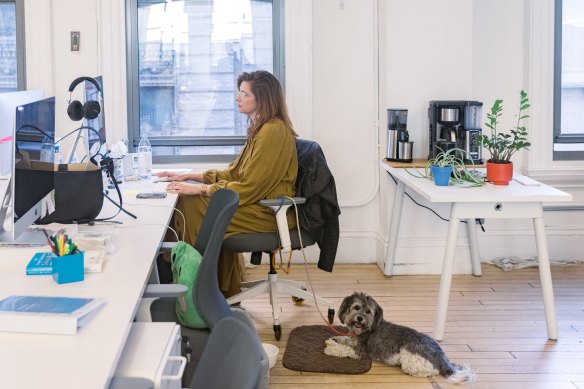 Cara Phillips, a vice president at CommonBond, in the company’s SoHo office with her dog, Pepper, adopted during the pandemic.
