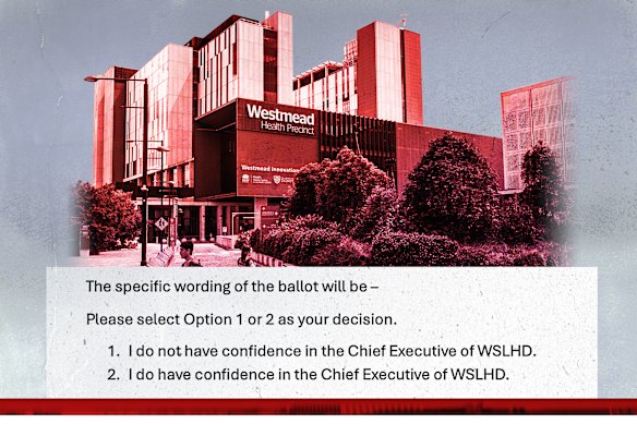 Doctors at Westmead Hospital were due to move a vote of no-confidence in Western Sydney Local Health District chief executive Graeme Loy before he stepped down. 
