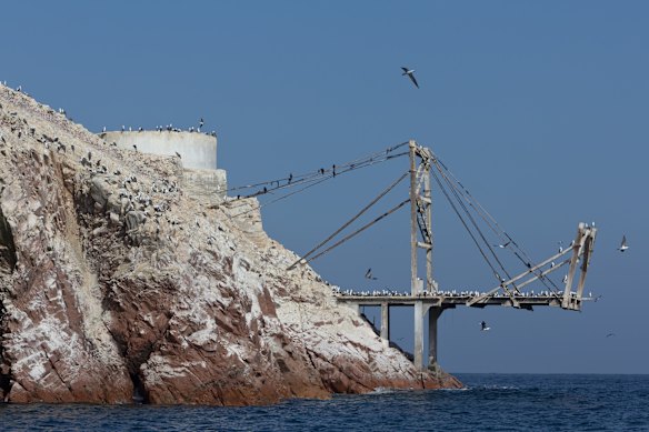 An island off Peru where rocks are covered in guano, once the main source of nitrogen and phosphorous for fertiliser before the invention of the Haber-Bosch process.