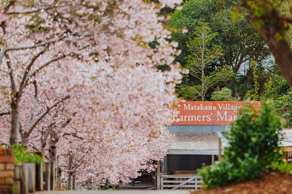 Flores e generosidade local.