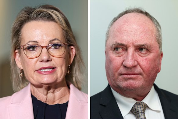 Opposition leader Sussan Ley is facing friendly fire from Nationals MP Barnaby Joyce, whose private members bill aims to abolish the net zero emissions target. 
