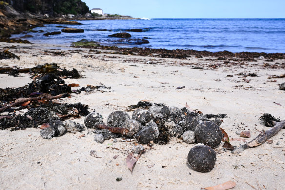 Black balls washed ashore at Gordons Bay in Sydney in October 2024.