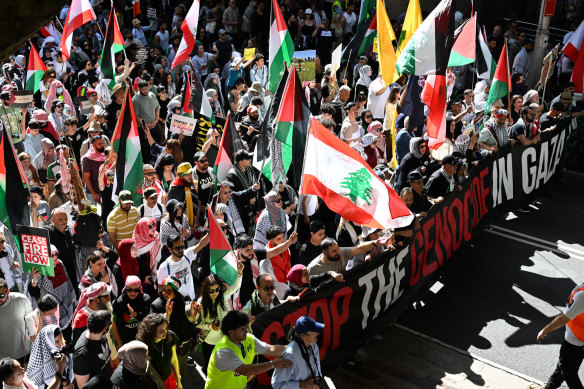 Pro-Palestine protesters in Sydney.