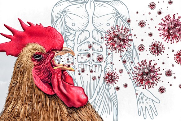 A new study has identified how many cases of bird flu would give way to an outbreak if the virus mutated to spread between humans.