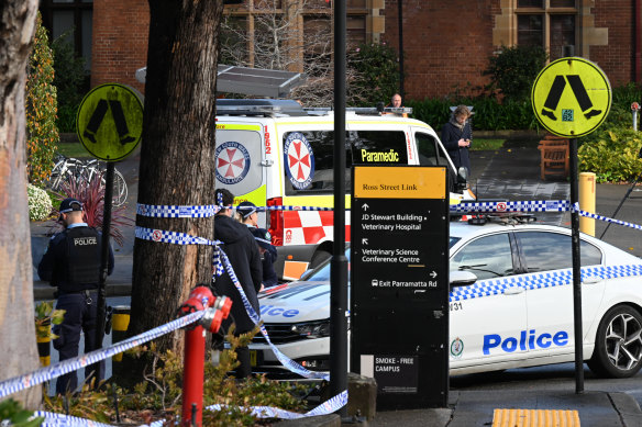 Usyd stabbing - Figure 1