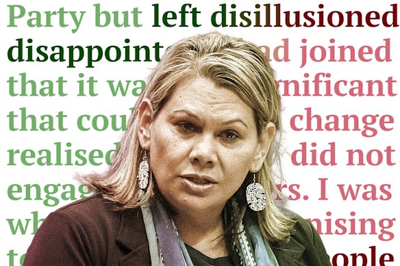 Dorinda Cox was highly critical of Labor in her application to join the Greens in 2020.