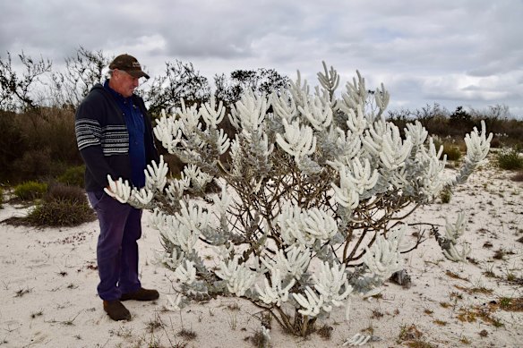 Mark Mudie with the flowers he supplied to the local wildflower show.
