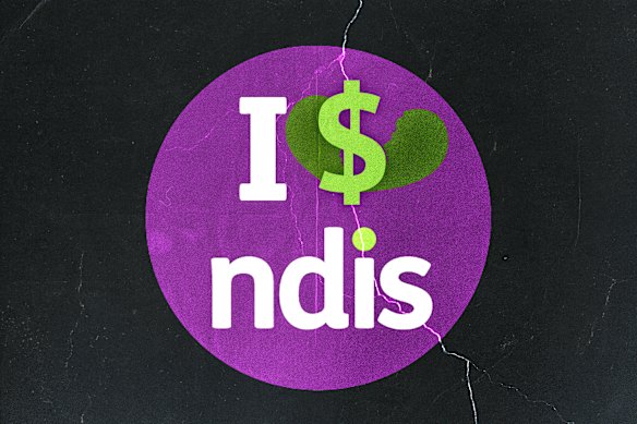 The $50 billion NDIS has attracted wealthy Australians who are investing in for-profit providers.  