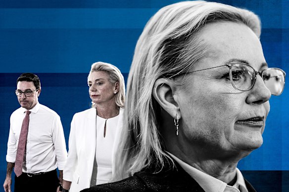 Susan Ley, David Littleproud e Bridget McKenzie 