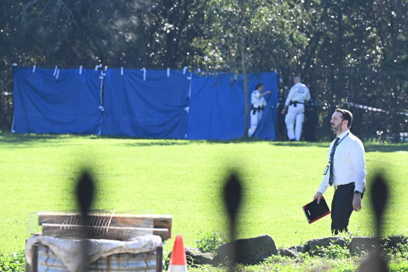 Police set up a screen to shield their investigation from view at Cooks River in Earlwood near where a placenta was found on its banks.