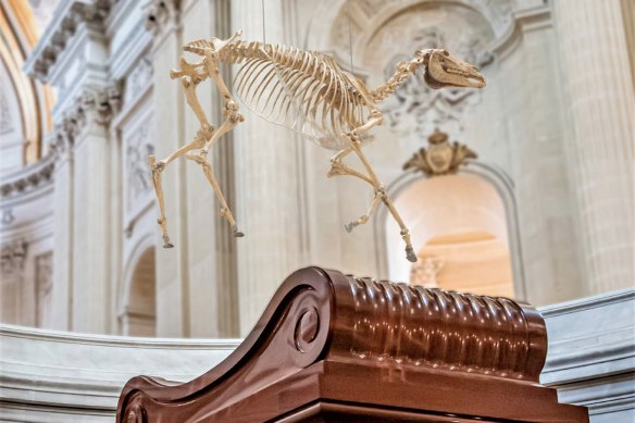 A rendering of the proposed Memento Marengo art installation planned to be hung over Napoleon Bonaparte’s tomb to commemorate the 200th anniversary of his death. 