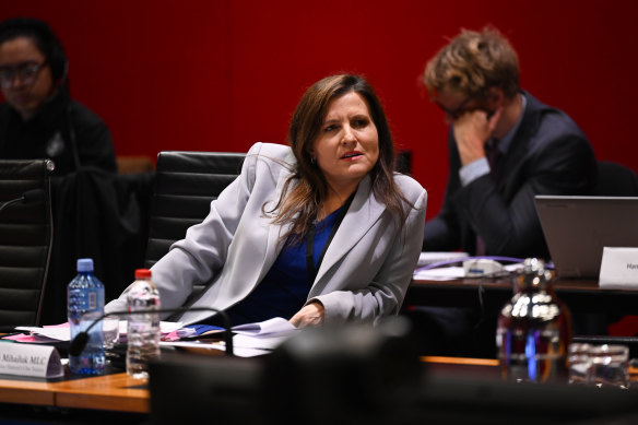 Tania Mihailuk, Pauline Hanson’s One Nation Party’s sole MP.