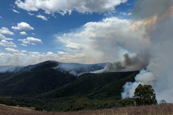 Mount Lawson State Park, where the Walwa bushfire started last week, is now largely burnt.