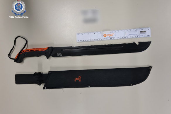 Weapons seized during the raids. 