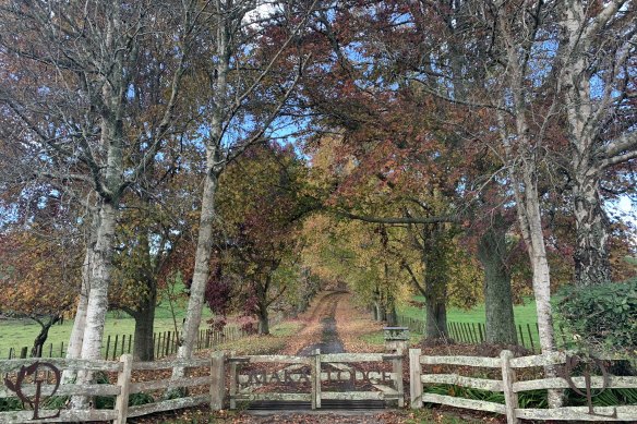 Omaka Lodge is set in the heart of the Forgotten World.