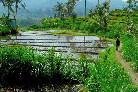 East Bali offers a window into traditional Bali.