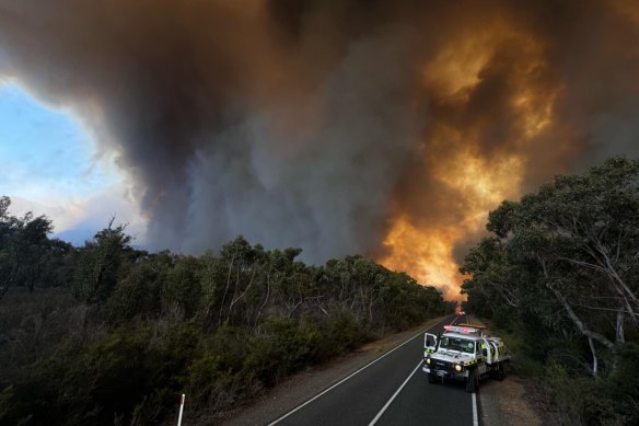 Flames above the tree canopy in the Grampians on Friday. 