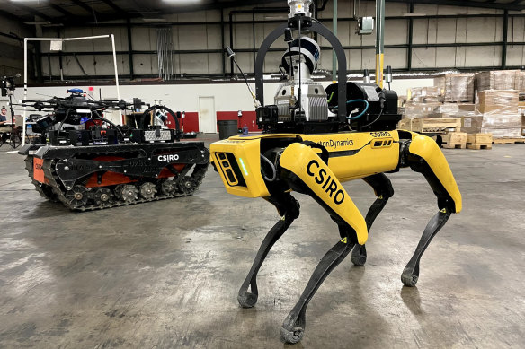 One of the CSIRO team’s “dog” robots, named after Bluey characters, with one of the tracked robots developed by Brisbane-based robotics company BIA5.