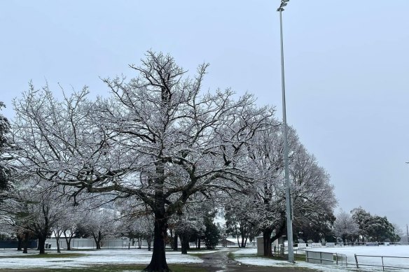 The Omeo Benambra Football and Netball Club grounds were covered in snow. 