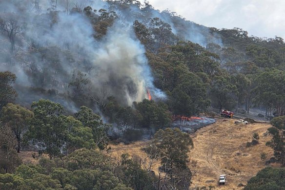 The fire at Trawool on Tuesday.