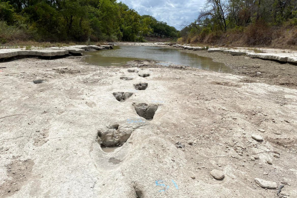 Severe drought conditions exposed dinosaur tracks from around 113 million years ago, in the Dinosaur Valley State Park, Glen Rose, Texas. 