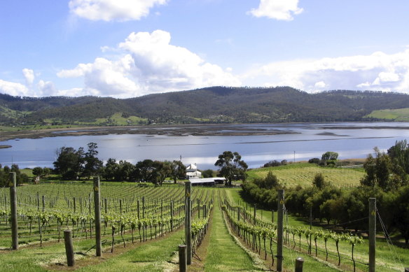 The sloping hills of Derwent Estate Wines.