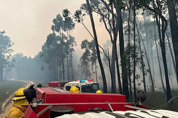 Bombeiros à beira do incêndio florestal em Otways. 