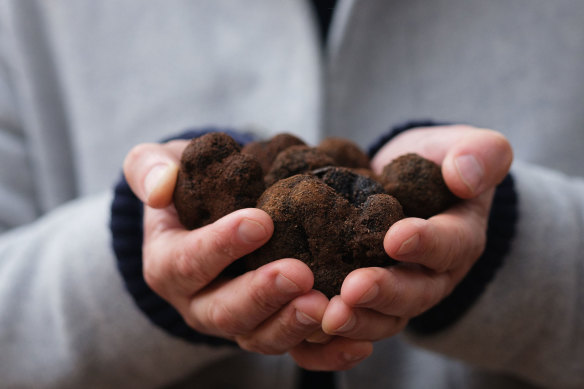 It’s truffle season in WA.