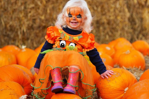 Hallowscream at The York Maze, the country’s largest corn maze.