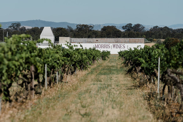 Morris Wines in Rutherglen, Victoria, is known for its fantastic fortifieds: muscats, topaques and tawnies.