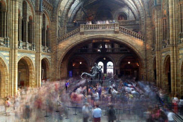 The main hall of London’s Natural History Museum, "a jaw-dropping Romanesque pile of terracotta and stained glass".