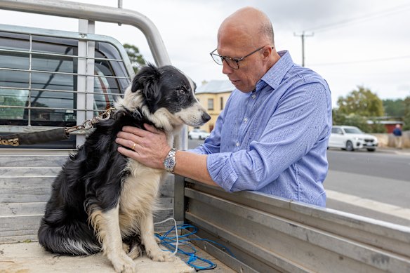 Dutton pats a dog.