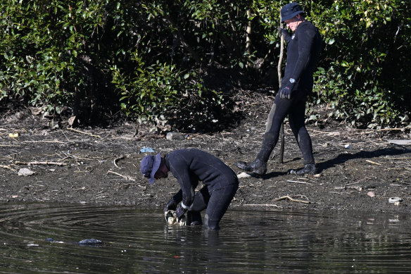 Police searching the Cooks River on Tuesday morning.