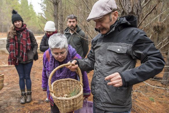 Join Diego Bonetto on a foraging adventure.