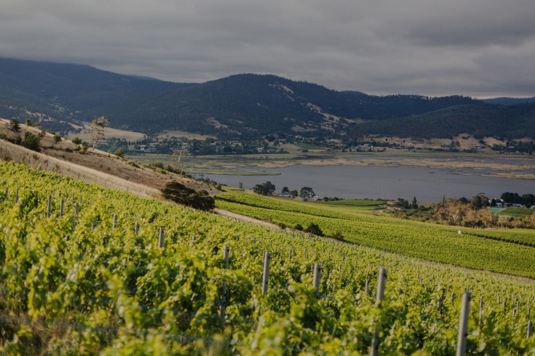 Nextgen winemaker Marco Lubiana makes his dad proud