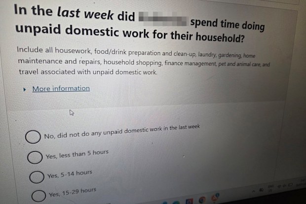 A screenshot of the census question about unpaid domestic labour.
