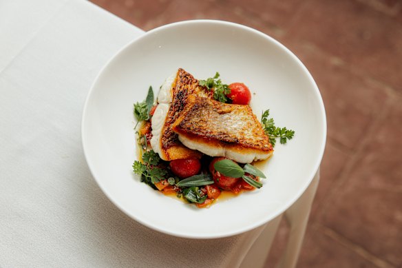 Snapper with sauce vierge.