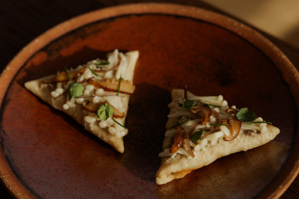 Braised mushroom tetela with pickled fungi and spices.